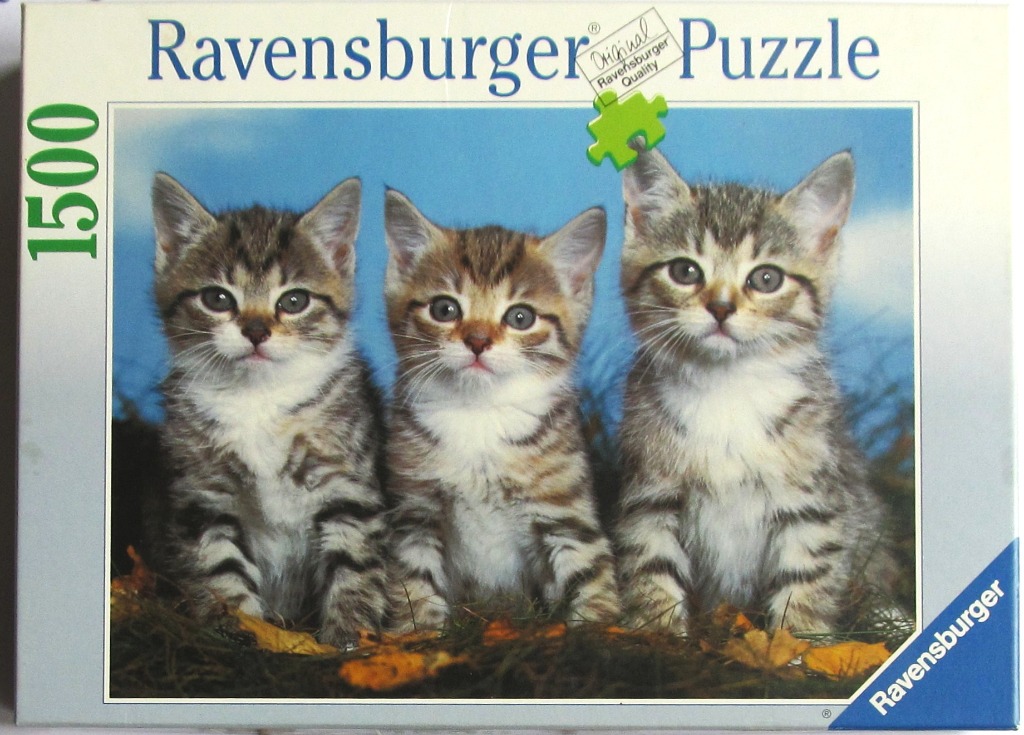 Three tabby kittens sitting in a row against a blue sky background.