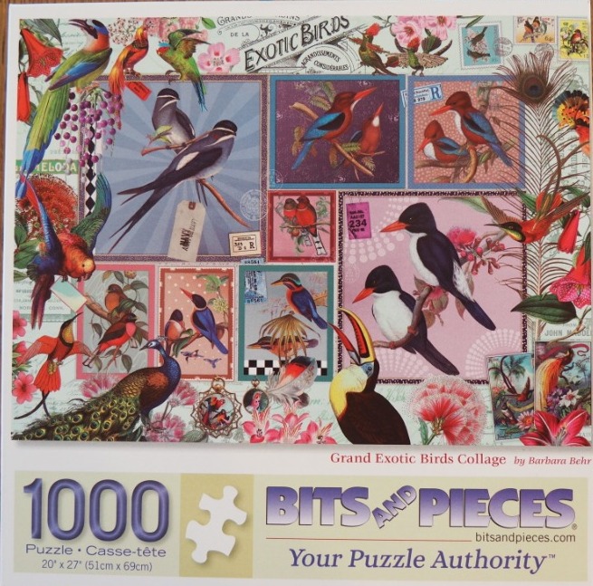 A collage of various colorful tropical and exotic birds, including a peacock, toucan, and hummingbirds.