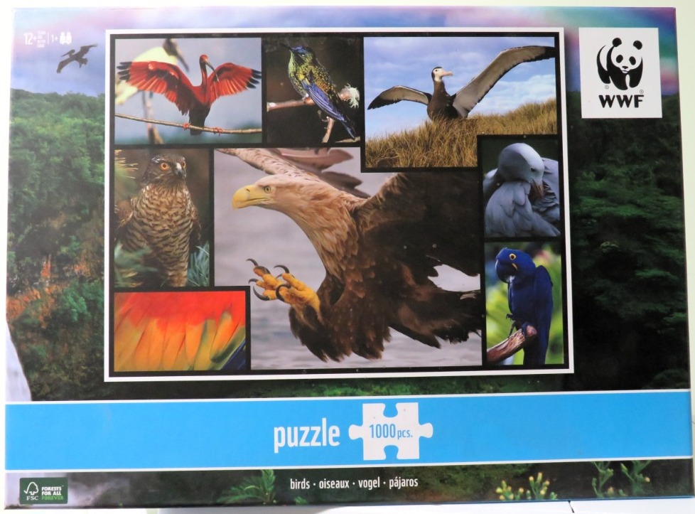 A collage of various bird species including a scarlet ibis, an eagle, and a macaw set against a dark forest background.
