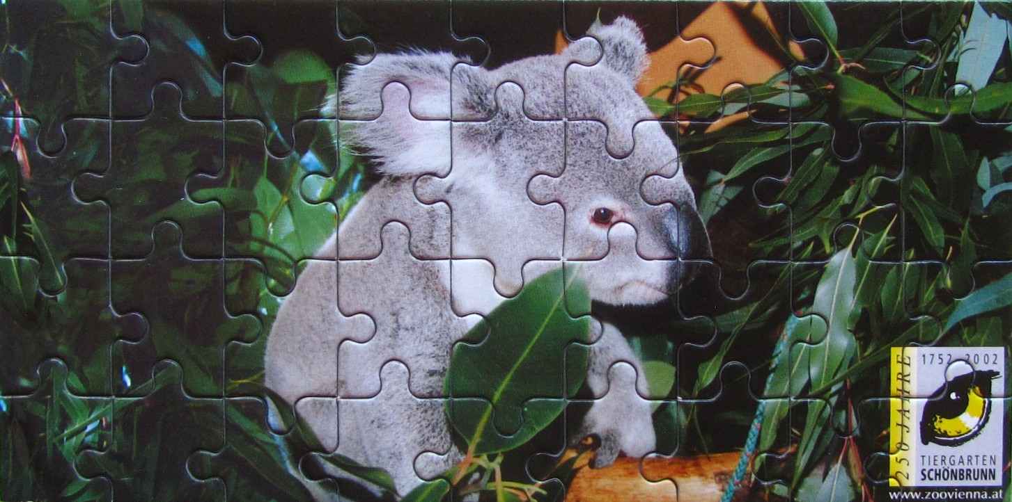 A close-up photograph of a grey koala sitting among vibrant green eucalyptus leaves.