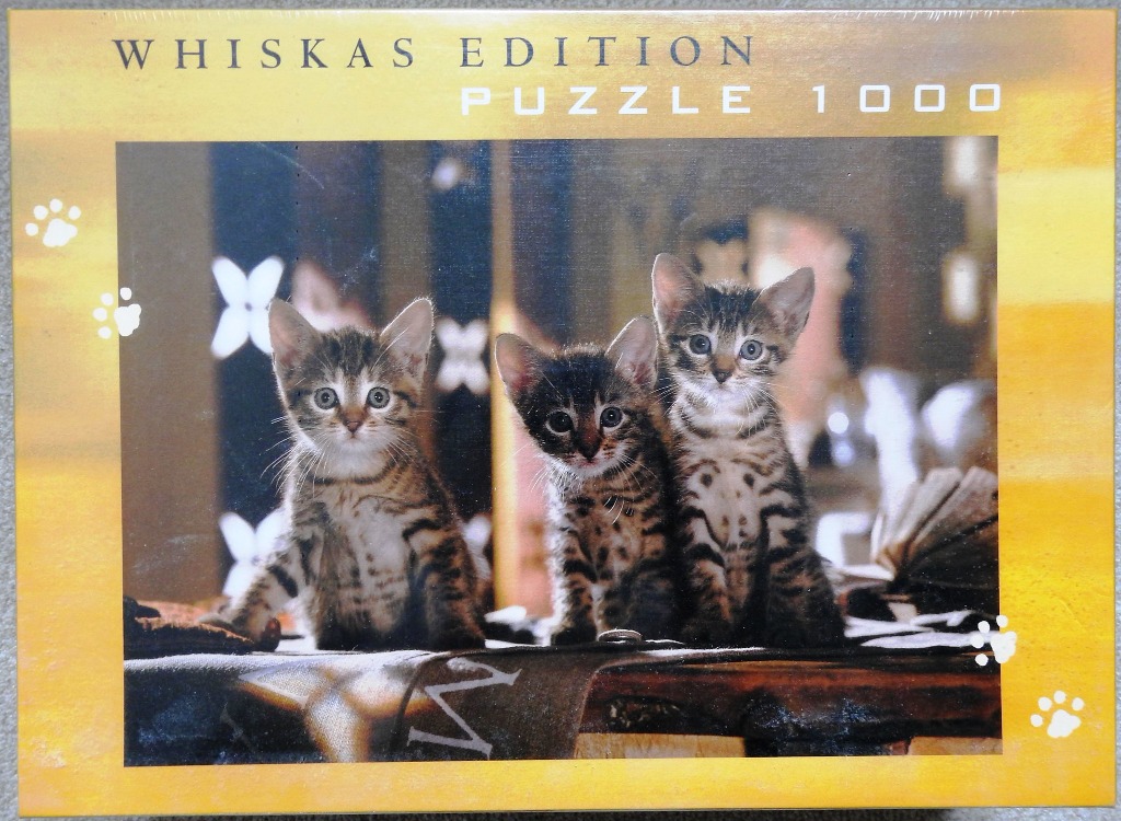 Three tabby kittens sitting on a wooden surface in a softly lit, warm indoor setting.