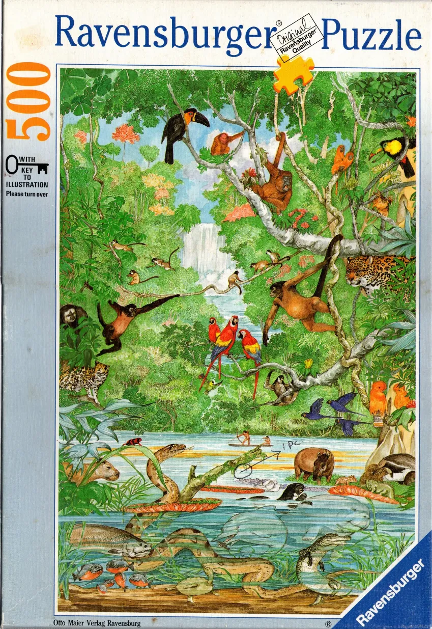 A lush, detailed illustration of a tropical rainforest ecosystem teeming with wildlife, monkeys, and colorful birds.