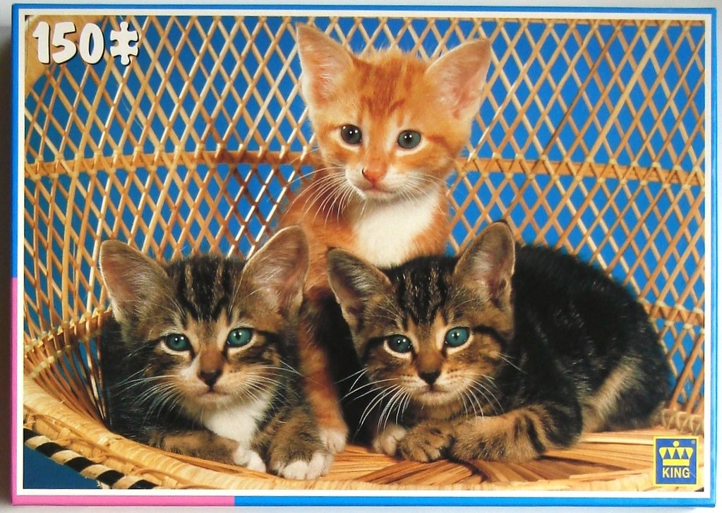 Three kittens sitting in a wicker chair against a blue background.