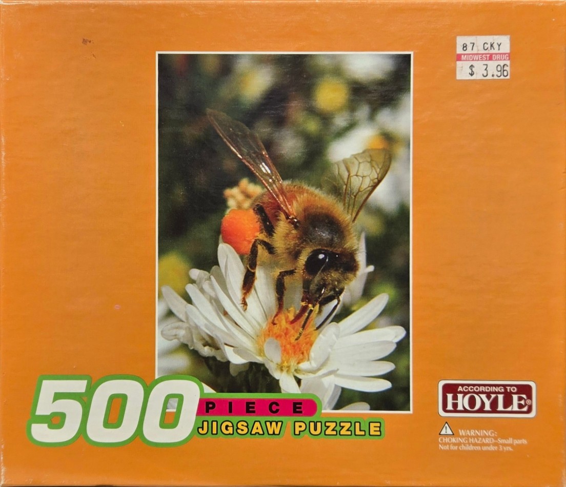 A close-up macro photograph of a honeybee collecting pollen from a white daisy flower.