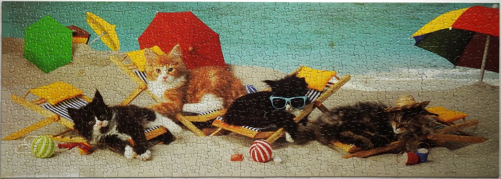 Four cats lounging on beach chairs on the sand with colorful umbrellas in the background.