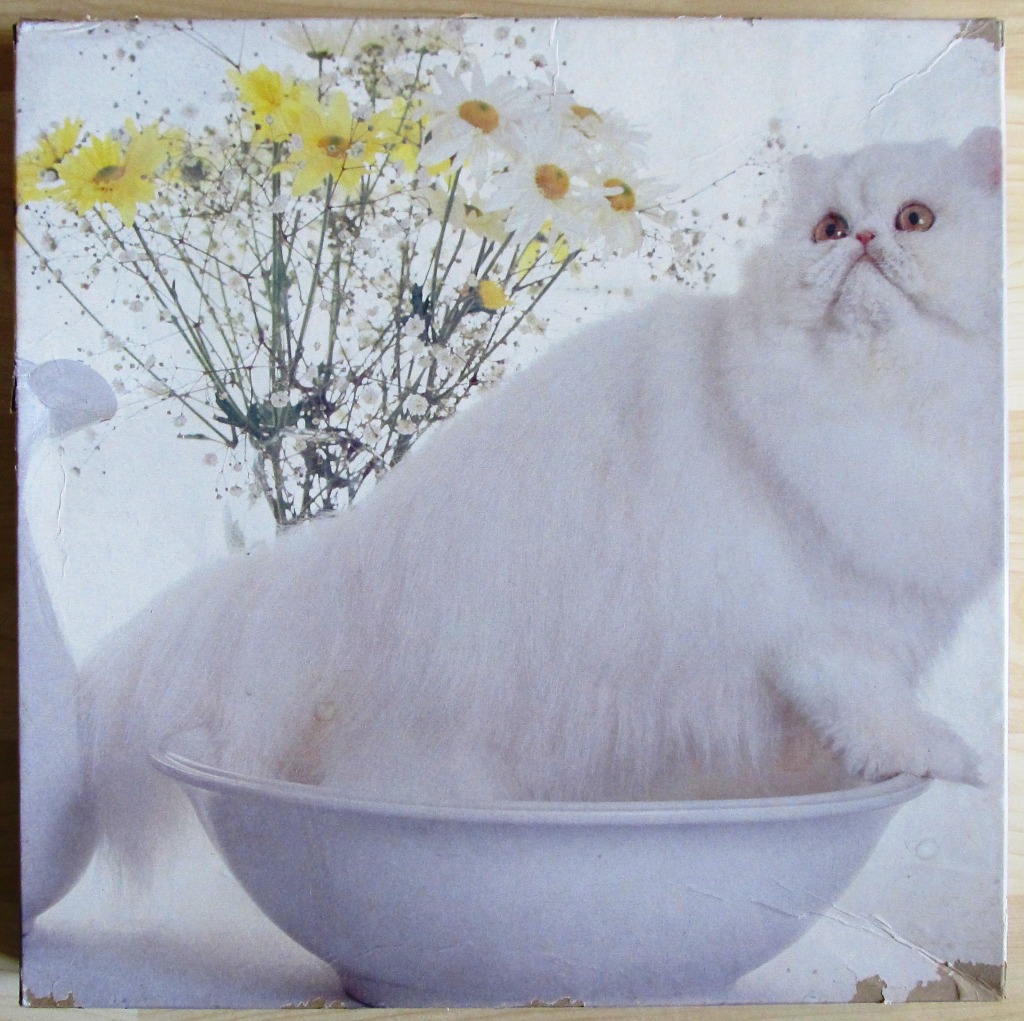 A fluffy white Persian cat sitting inside a large white bowl next to a bouquet of yellow and white daisies.