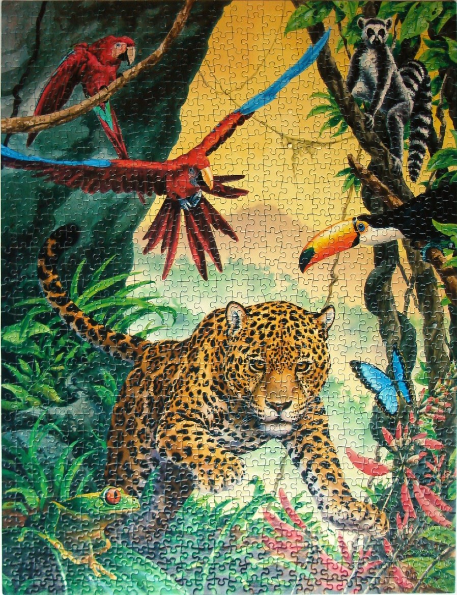Vibrant rainforest scene featuring a jaguar, scarlet macaws, a lemur, a toucan, and other tropical wildlife.
