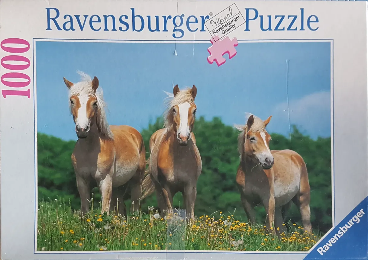Three Haflinger horses standing in a sunlit meadow of green grass and yellow wildflowers against a bright blue sky.