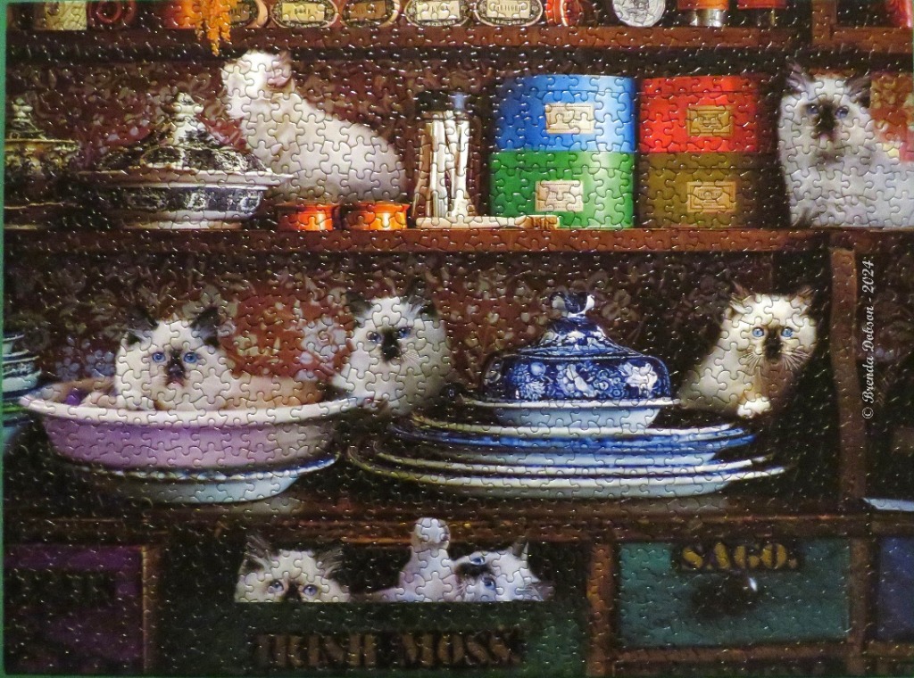 Several fluffy Birman-style cats perched on shelves amongst antique bowls and apothecary drawers.