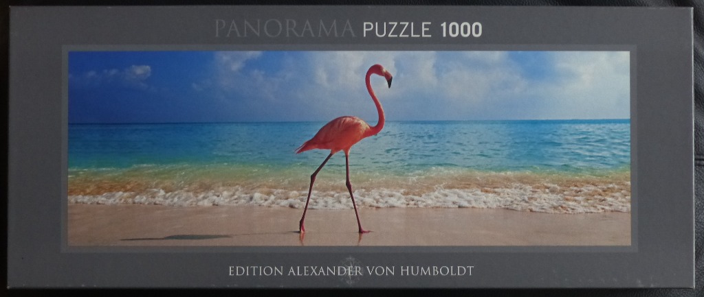 A vibrant pink flamingo walks across a sandy tropical beach with a turquoise ocean in the background.