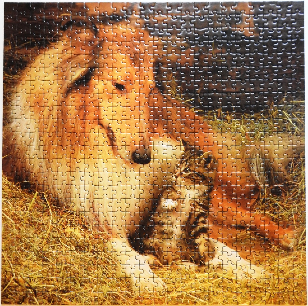 A golden collie dog and a small tabby kitten sitting together in a pile of hay.