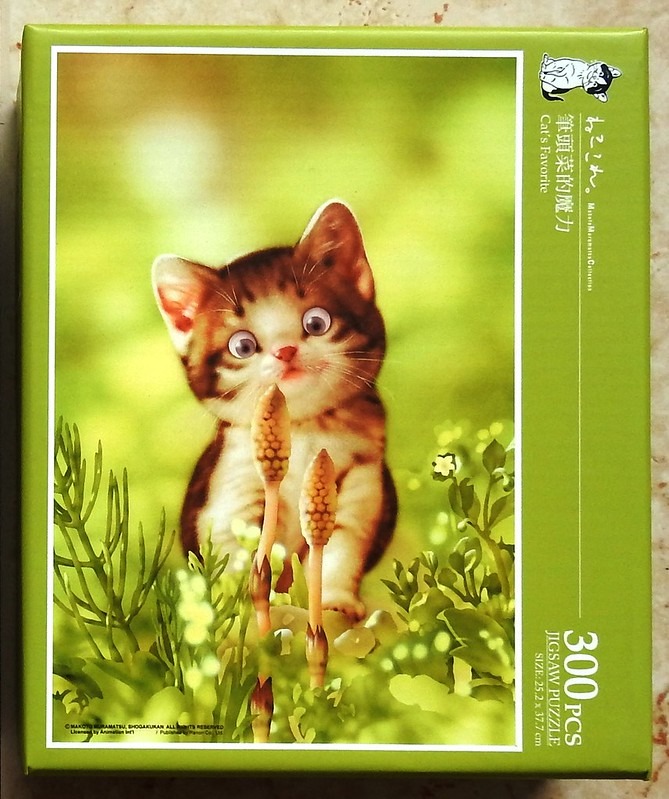A fluffy tabby kitten looking curiously at two horsetail plant shoots in a lush, bright green forest.