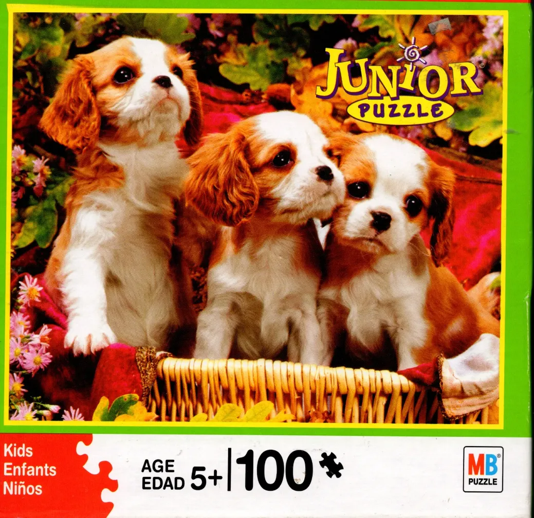 Three Cavalier King Charles Spaniel puppies sitting in a woven wicker basket amongst flowers.