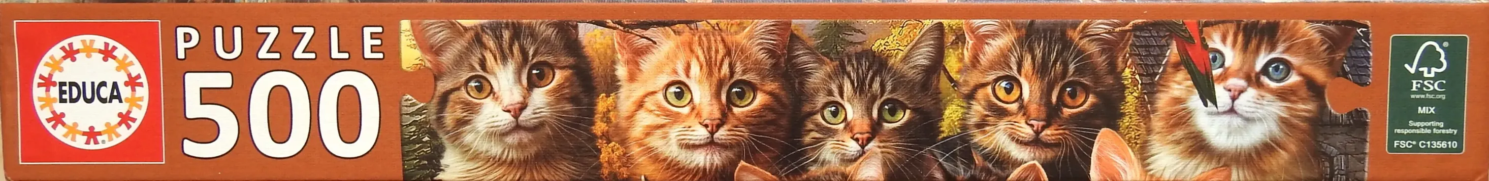 Kittens and Birds