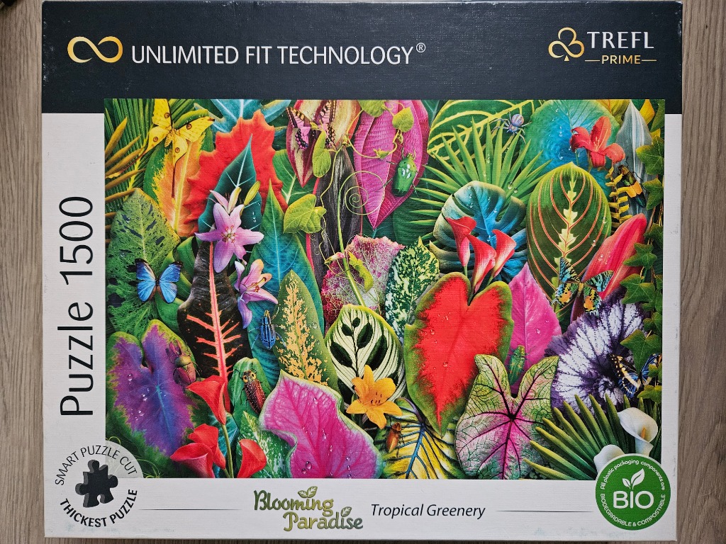 A lush, vibrant illustration of a dense tropical jungle filled with colorful foliage, exotic flowers, and insects.