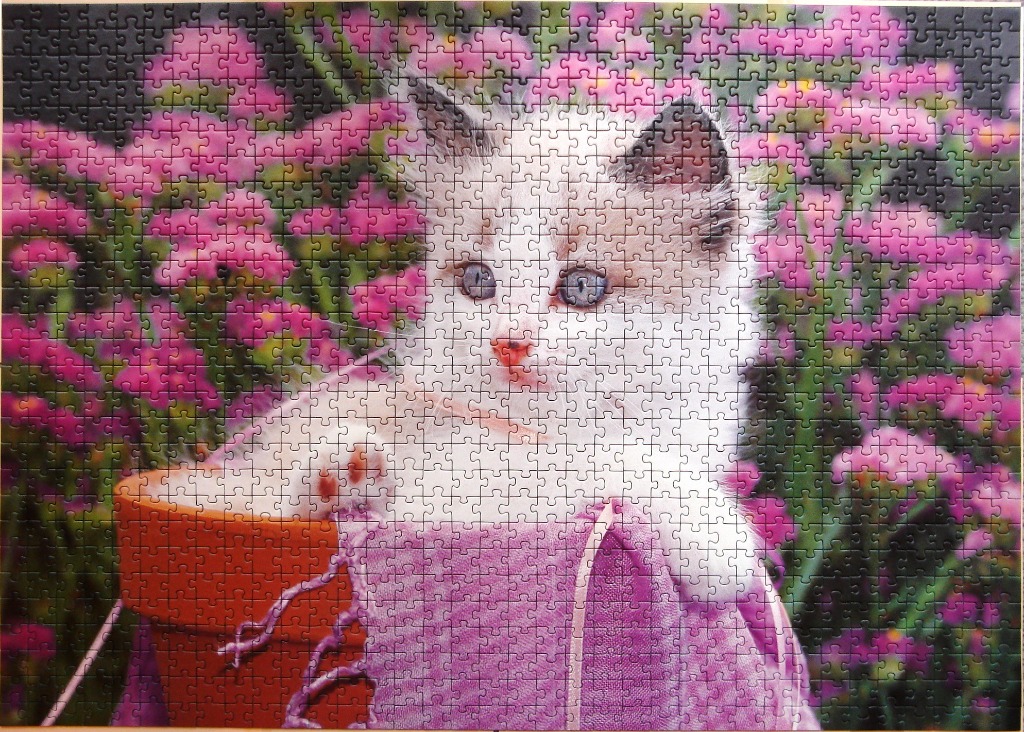 A fluffy white kitten with grey markings peeking out of a purple tote bag surrounded by pink flowers.