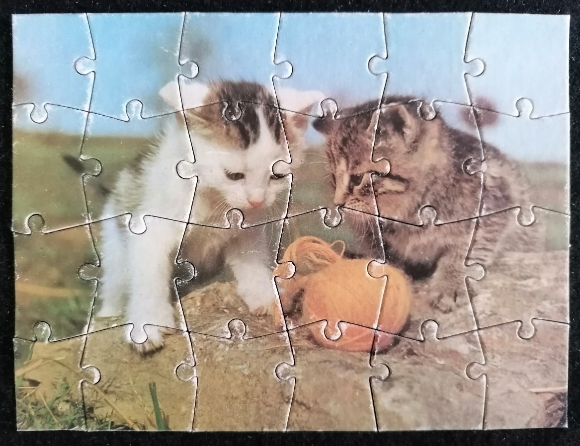 Two kittens playing with a ball of orange yarn outdoors