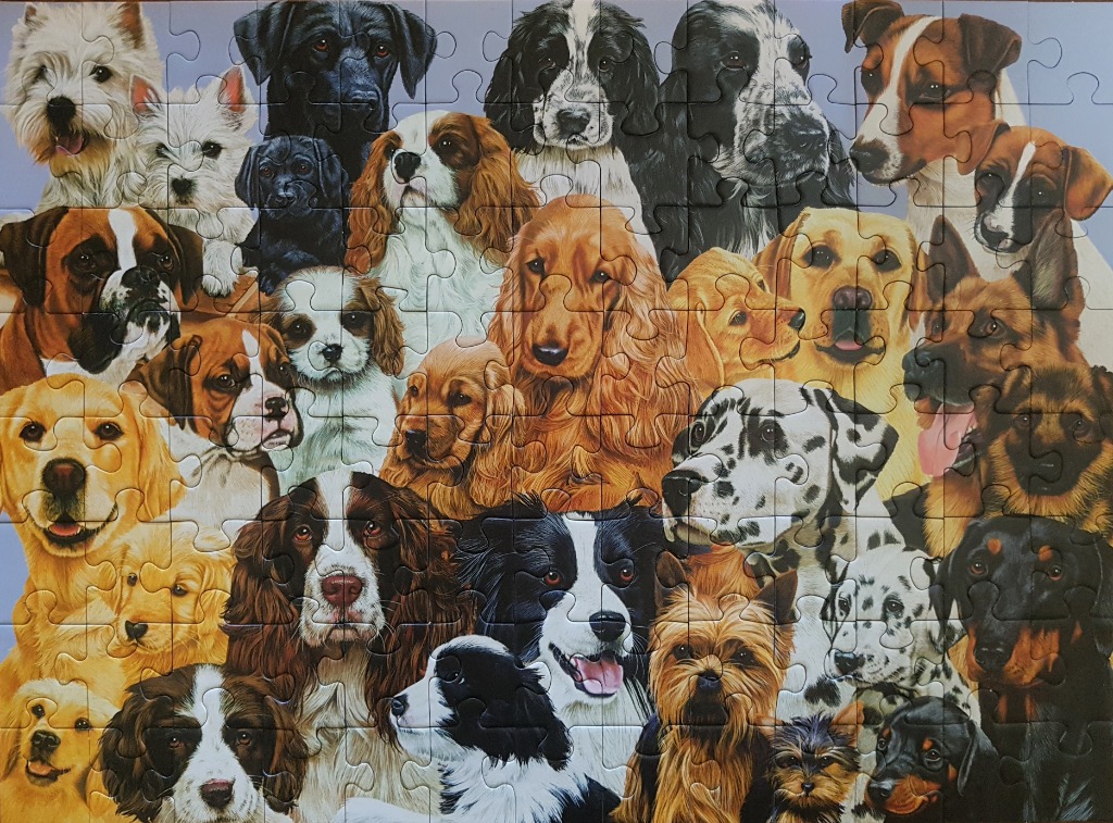 A collage portrait featuring a large variety of dog breeds of different colours and sizes.