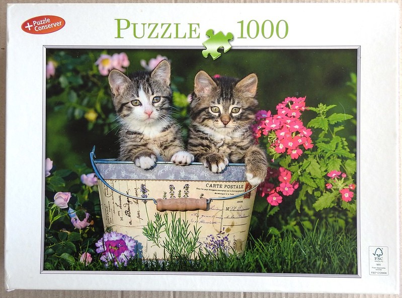 Two tabby kittens sitting inside a decorative cream-colored metal bucket surrounded by a flower garden.