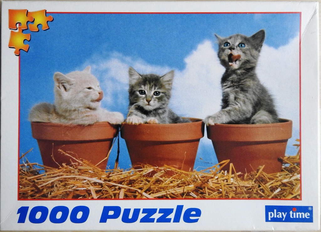 Three kittens sitting in individual terracotta pots against a bright blue sky with straw in the foreground.