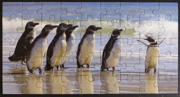 A row of penguins standing on a sandy beach with a single penguin cheering on the right.
