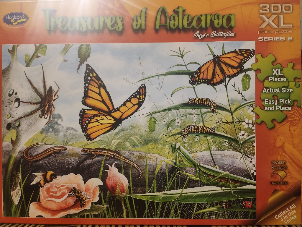 Illustration of New Zealand insects and wildlife including monarch butterflies, a praying mantis, and a spider.