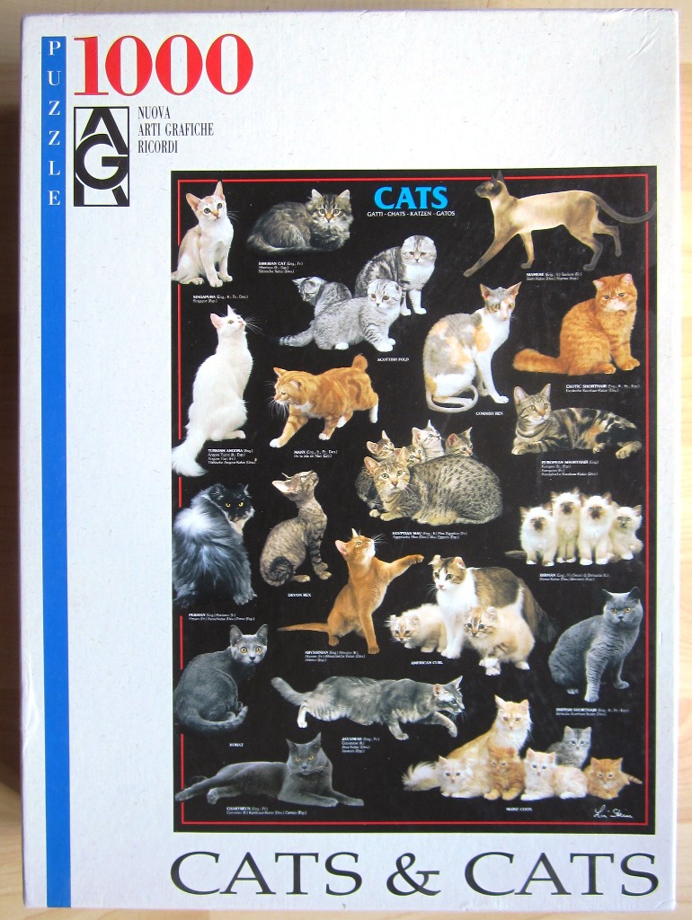 A collection of various cat breeds illustrated against a solid black background.