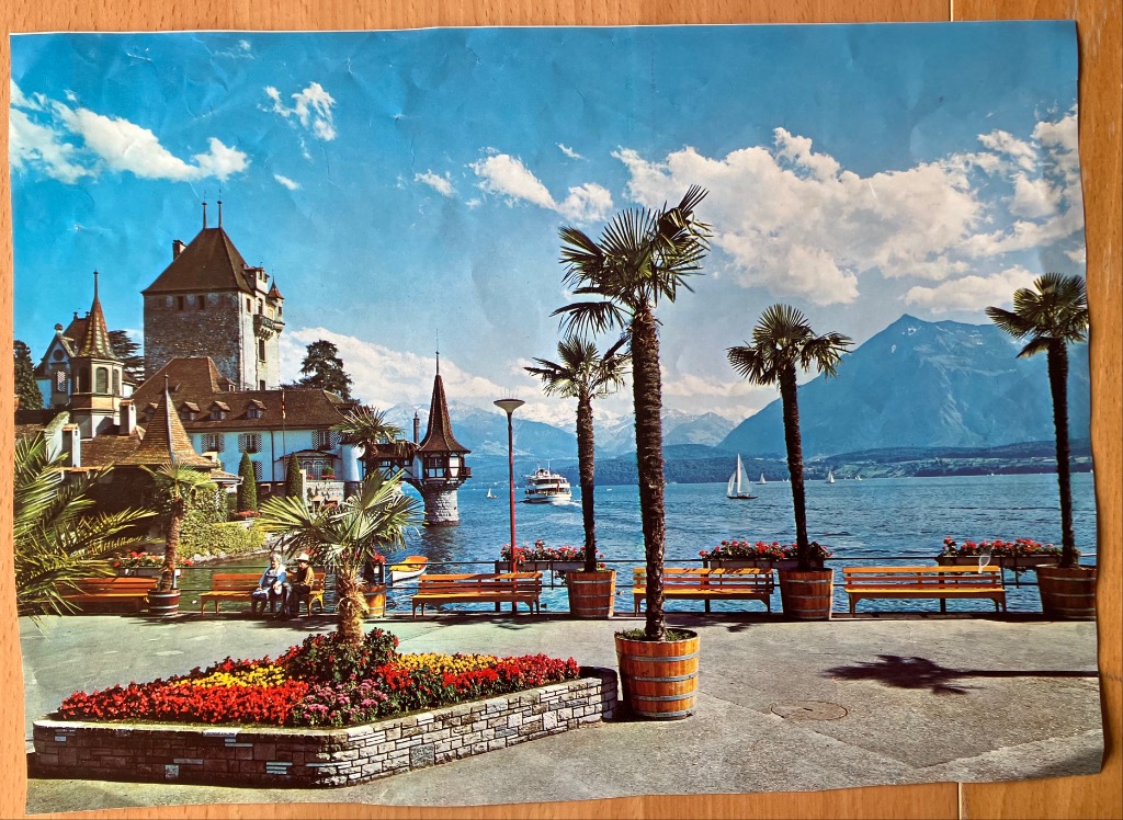 A sunny lakeside view featuring a stone castle, palm trees, and mountain vistas.