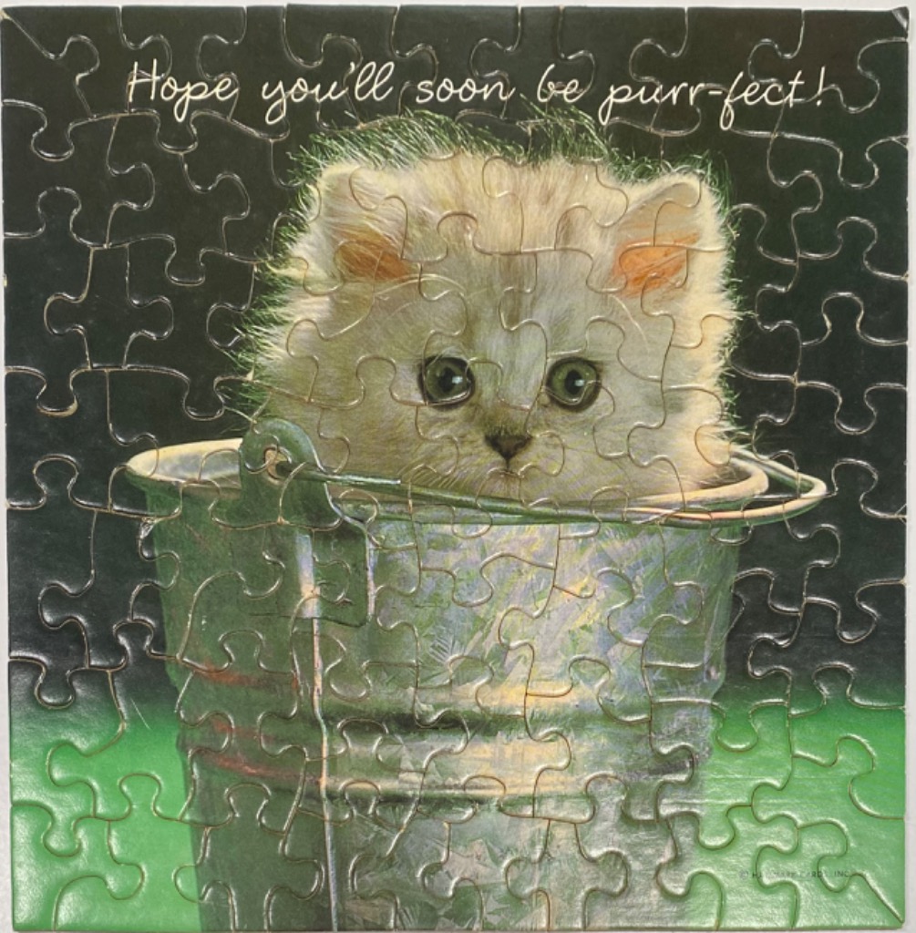A fluffy kitten looking out of a green metal pail against a dark background with text.