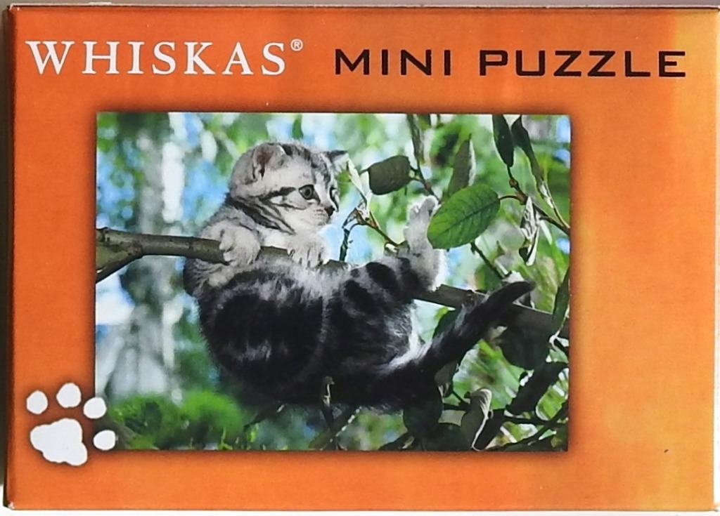 A small tabby kitten climbing in a tree with green leaves.