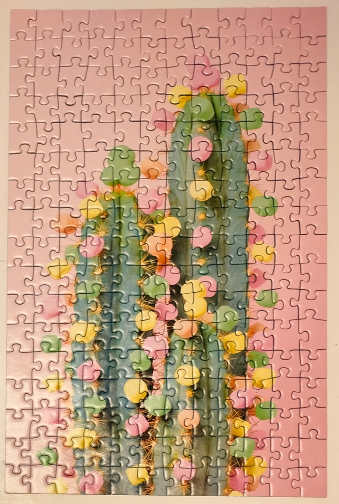 Two green cacti decorated with pastel yellow and pink circular shapes against a solid light pink background.