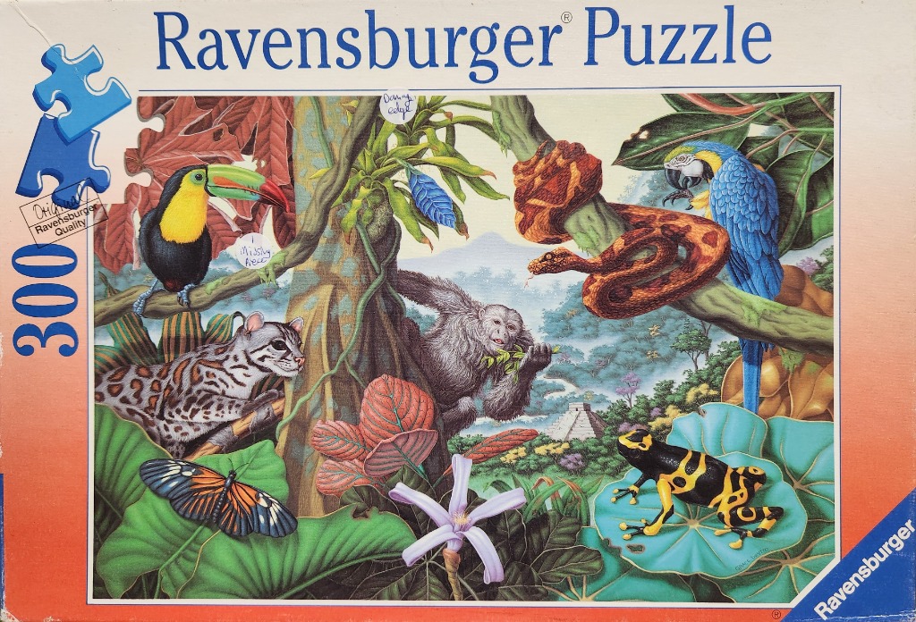 A lush rainforest scene with diverse wildlife including a toucan, snake, macaw, ocelot, monkey, and frog.