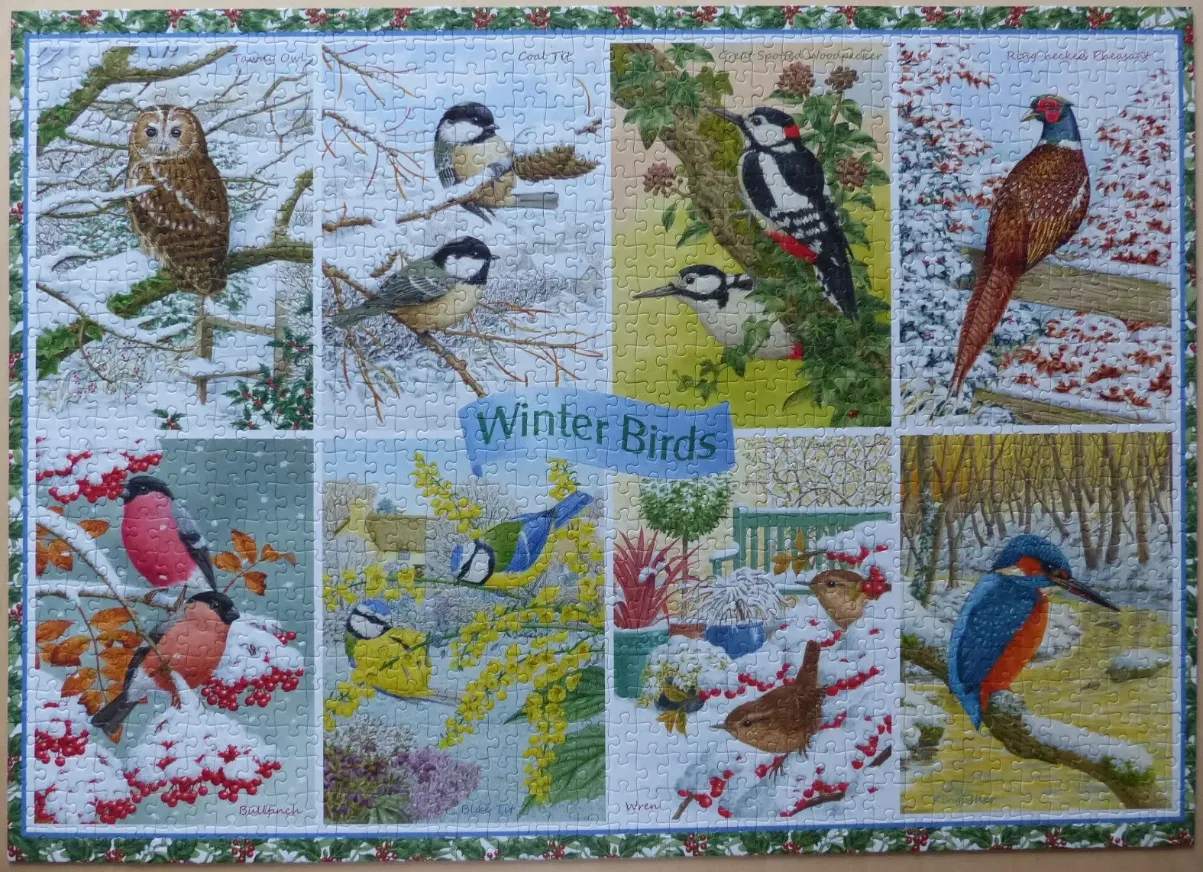 A collage of various winter birds set against snowy and seasonal natural backdrops.