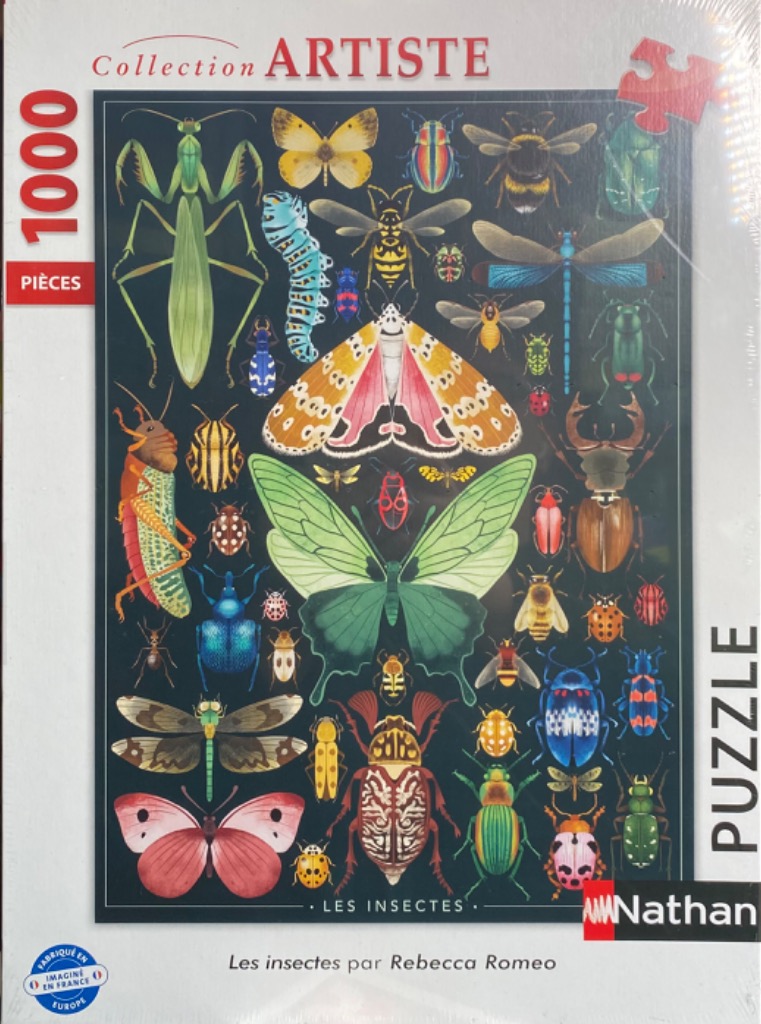A collection of various colourful insects illustrated against a solid black background.