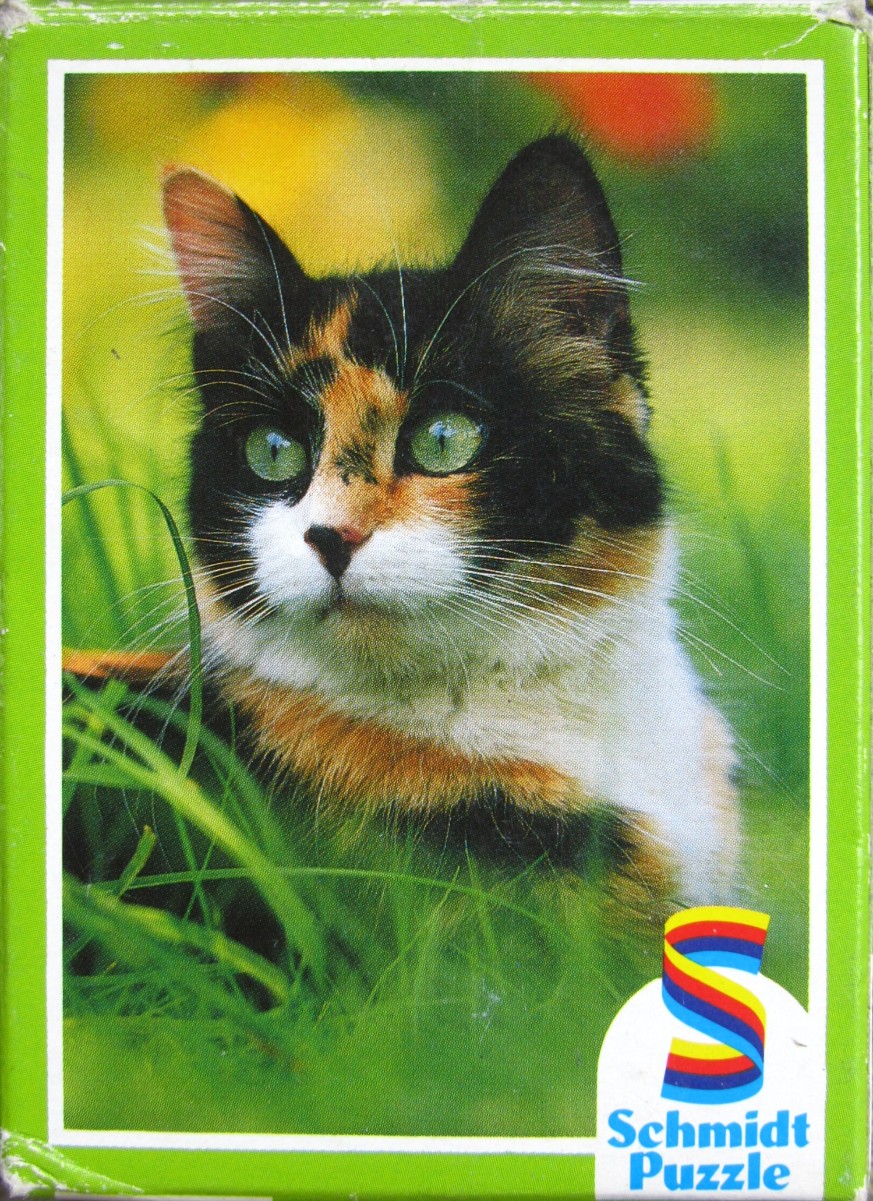 A medium close-up portrait of a calico cat with green eyes sitting in a lush green field.