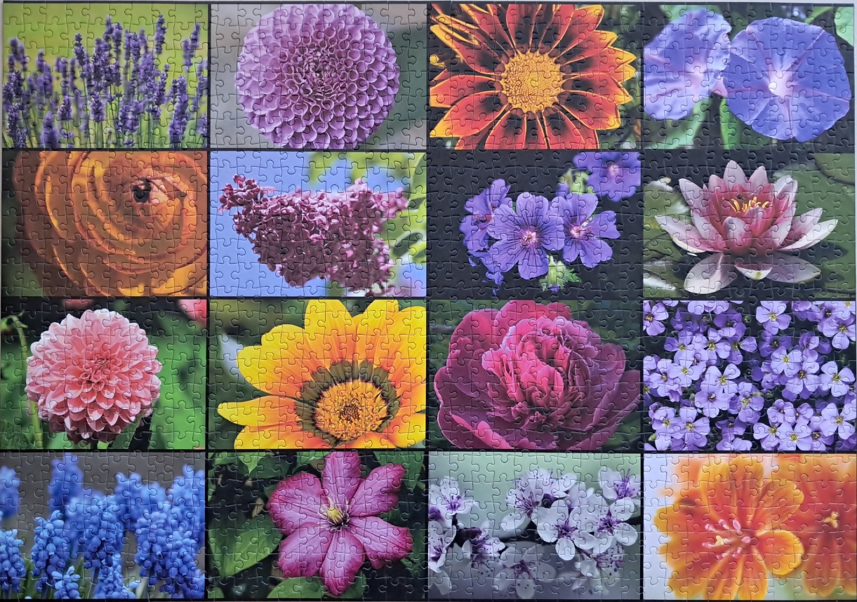 A collage of 16 different flower portraits in a grid layout.