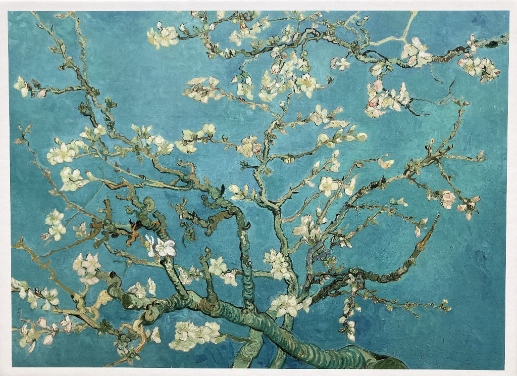 Oil painting of almond blossom branches against a turquoise blue sky in the style of Van Gogh.