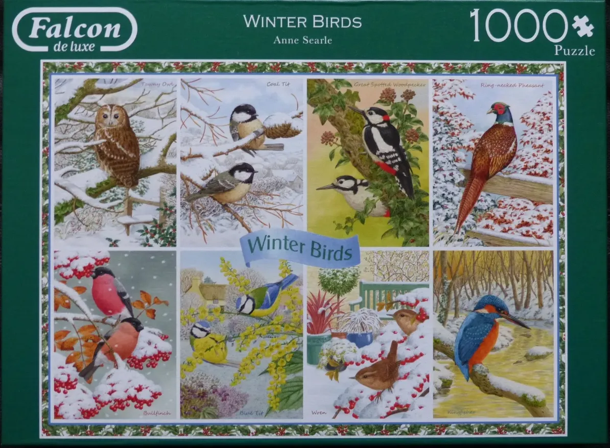 A montage of eight distinct winter bird illustrations featuring various species in snowy garden settings.