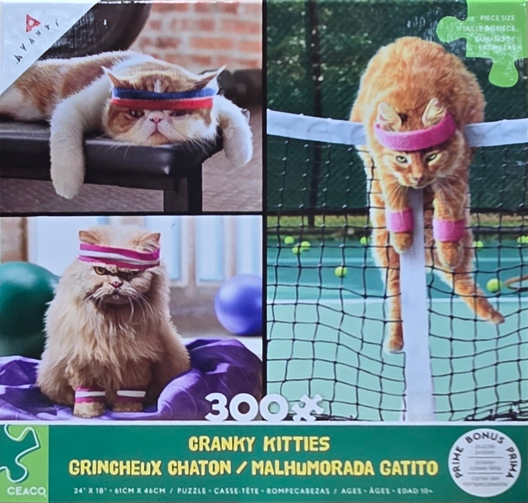Three photos of grumpy orange cats wearing colorful sweatbands and wristbands while exercising.