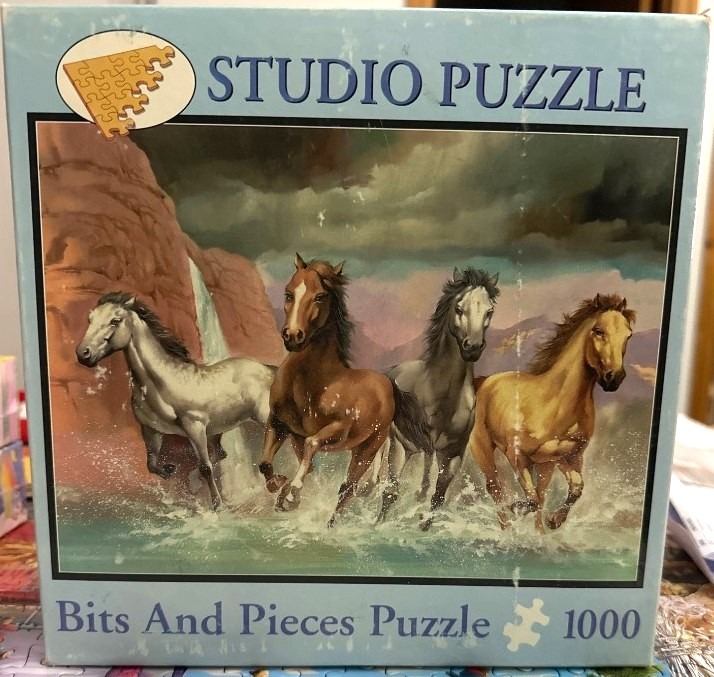 Four horses galloping through a shallow river in front of rocky cliffs under a stormy sky