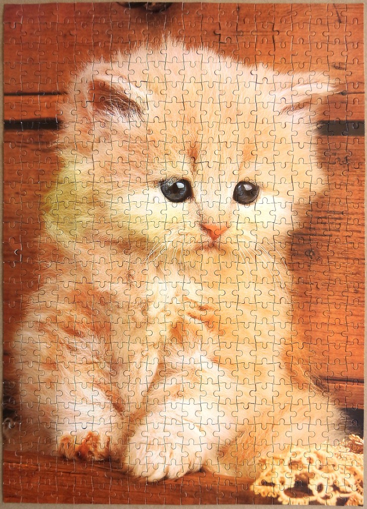 A fluffy ginger kitten sitting against a rustic wooden background.