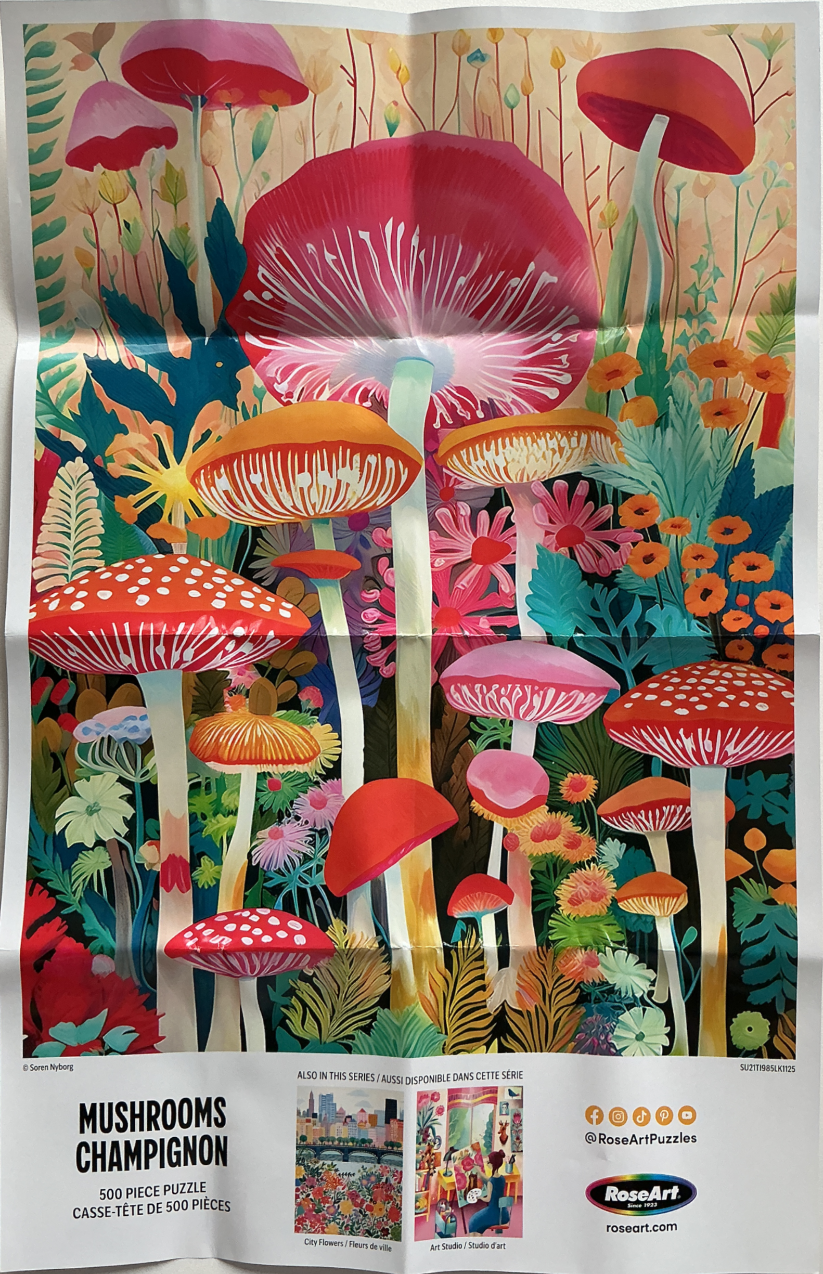 A vibrant illustration of varied mushrooms and wildflowers in a whimsical, colorful forest setting.