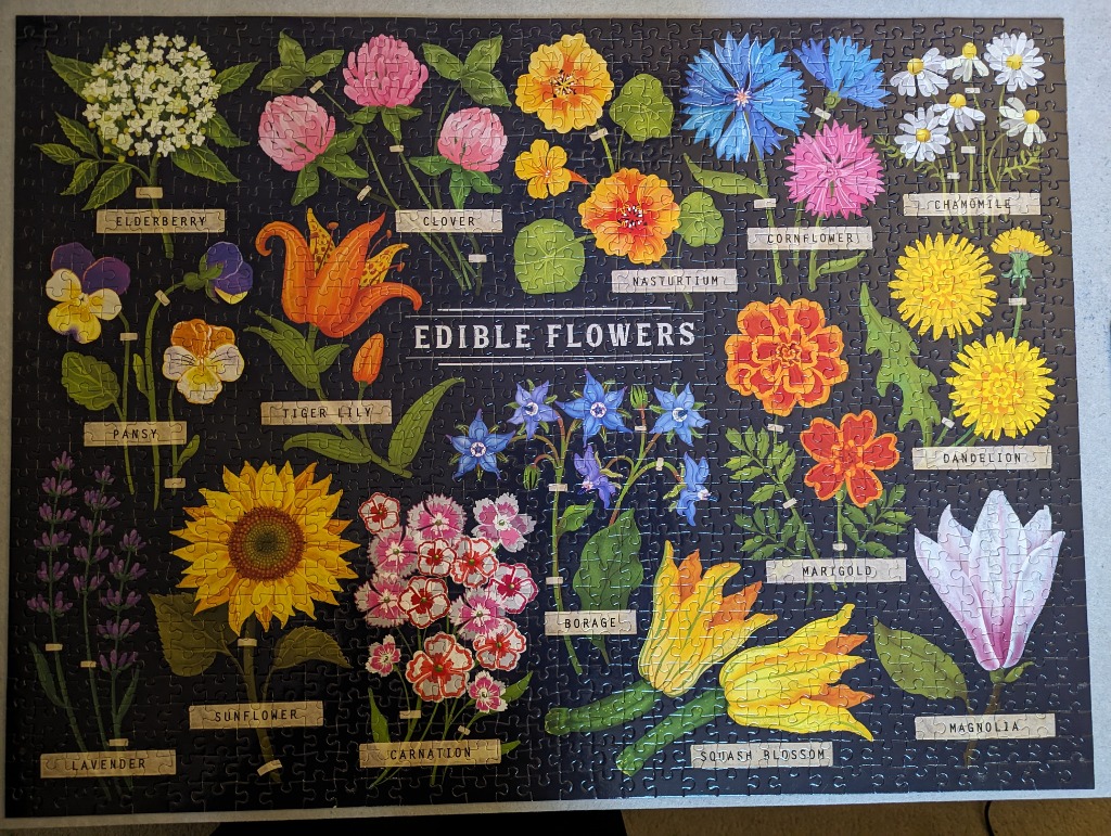 A botanical illustration chart of edible flowers against a dark background.