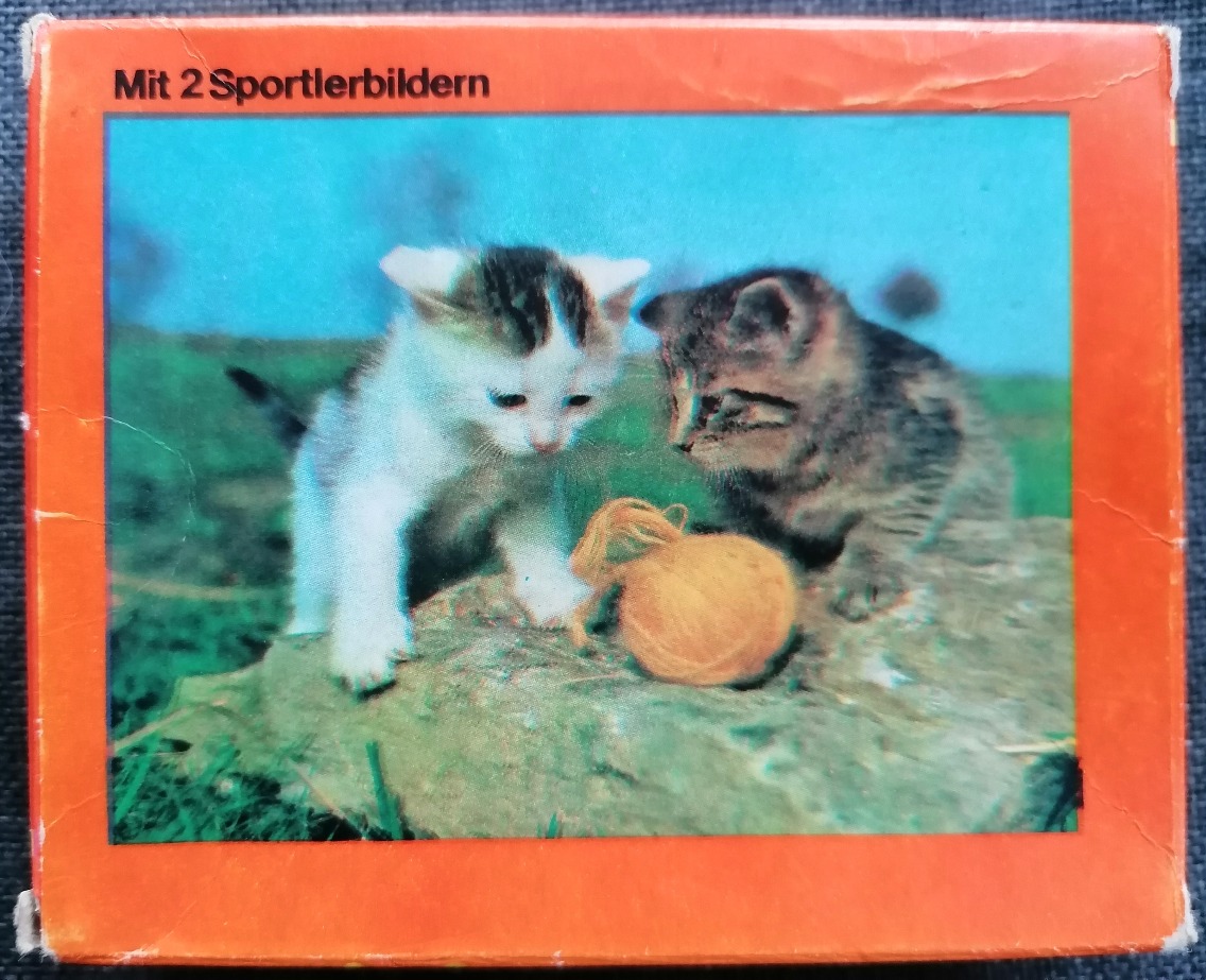 Two kittens playing with a ball of yarn on a stone outdoors