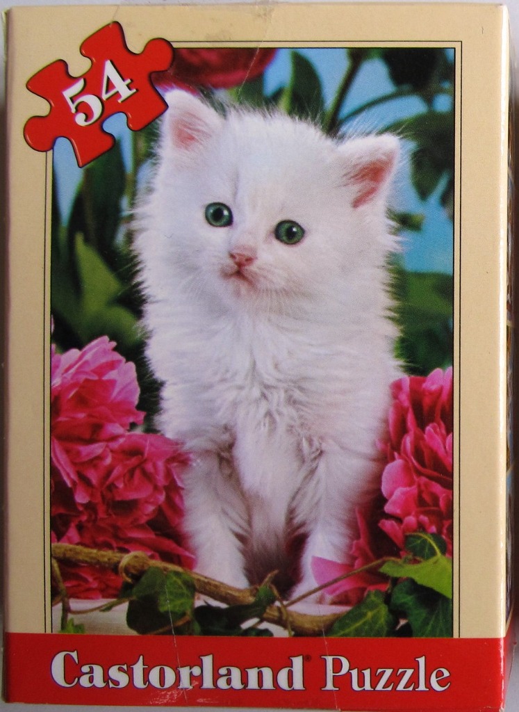 A fluffy white kitten with green eyes sitting among bright pink peony flowers.