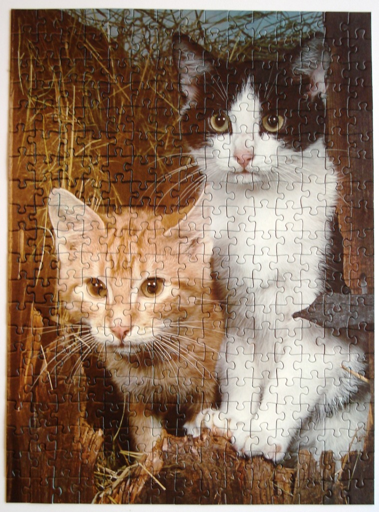 Two kittens, one orange tabby and one black-and-white, sitting in a rustic wooden area with straw.