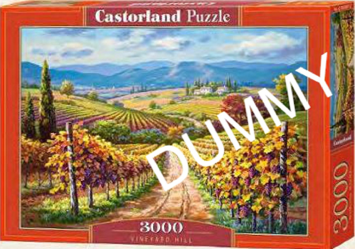Vineyard Hill