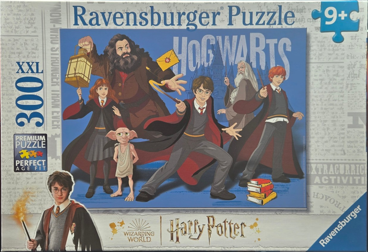 Illustration of Harry Potter characters including Harry, Hermione, Ron, Hagrid, Dobby, and Dumbledore in front of Hogwarts