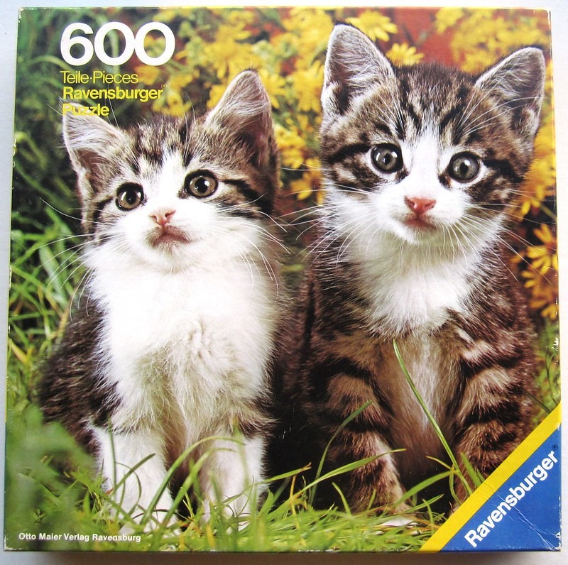 Two tabby and white kittens sitting in a patch of green grass and yellow flowers.