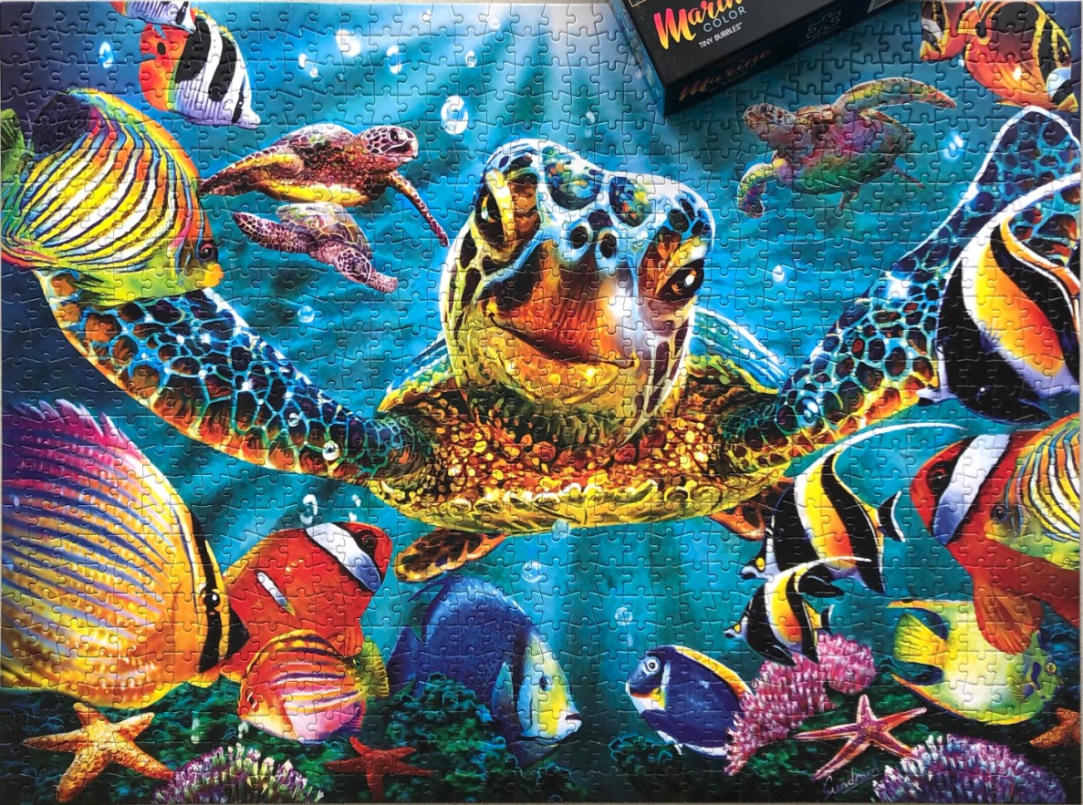 Vibrant, colorful underwater scene with a large sea turtle surrounded by various tropical fish and coral.